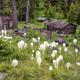 Illustration for article titled American Horror Story: Beautiful Photos of U.S. Ghost Towns